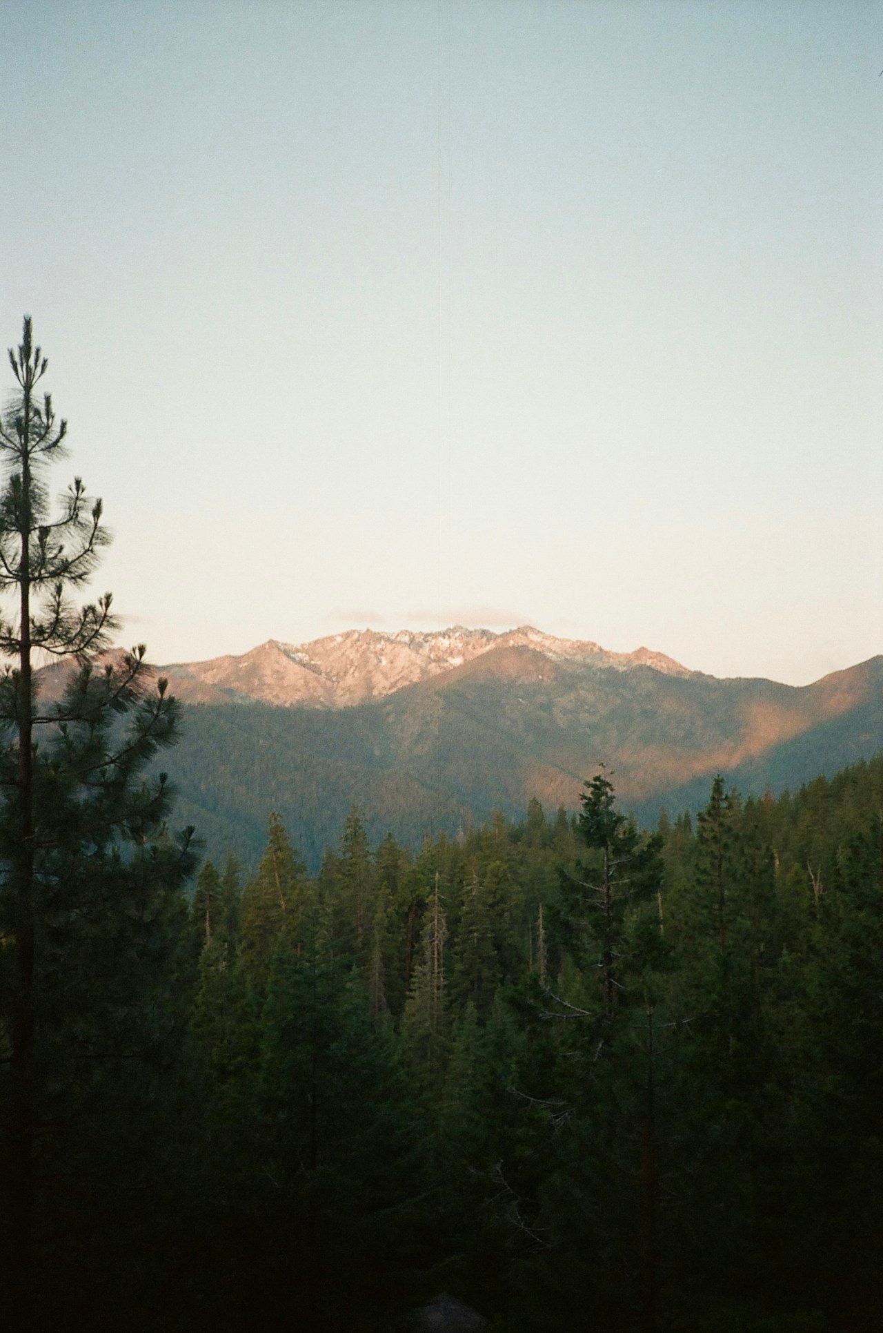 Pine-covered Troodos Mountains with sunlit peaks